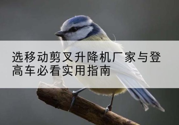 长安电动升降机厂家-选移动剪叉升降机厂家与登高车必看实用指南