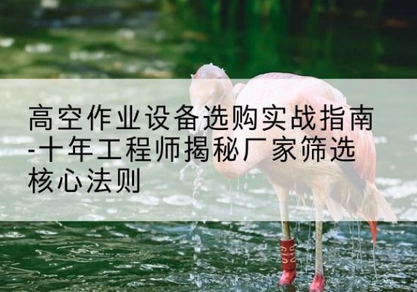 长安剪叉式升降机厂家-高空作业设备选购实战指南-十年工程师揭秘厂家筛选核心法则